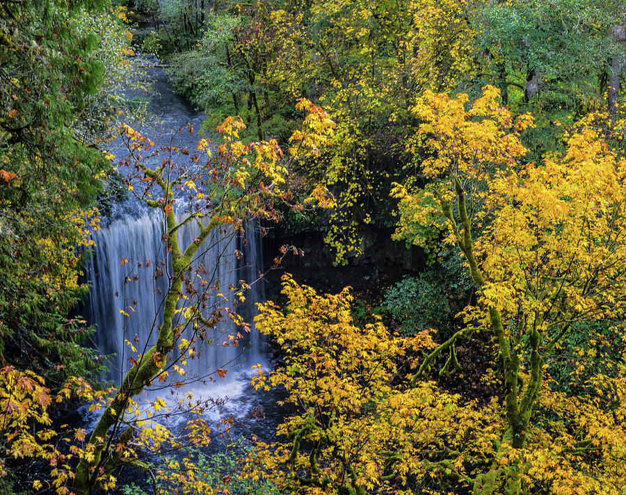 Fall Falls Photograph by Peggy McCormick
