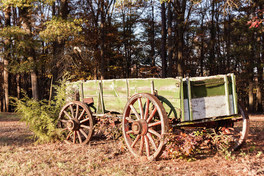 Fall farm days  Photograph by Andrea Anderegg