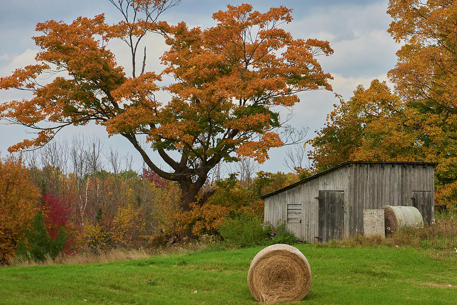 Fall farm shed Photograph by Paul Freidlund