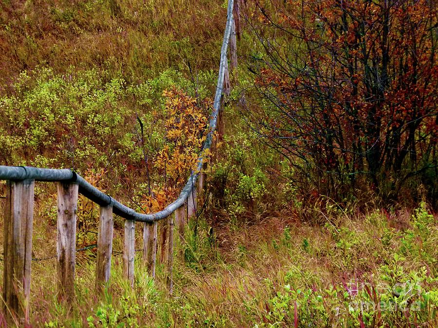 Fall Fence Line - Going up Photograph by Jor Cop Images