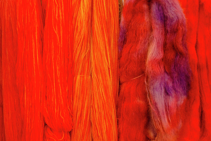 Fall Fibers 3 by Paul Croll Fall Fibers 3 by Paul Croll