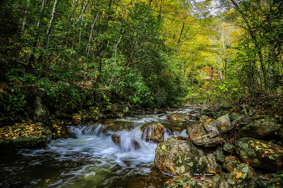 Fall Flow Photograph by Dale R Carlson