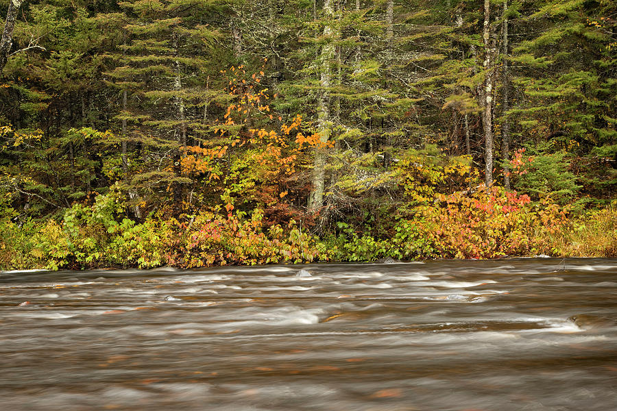 Fall Flow On Baptism River Photograph