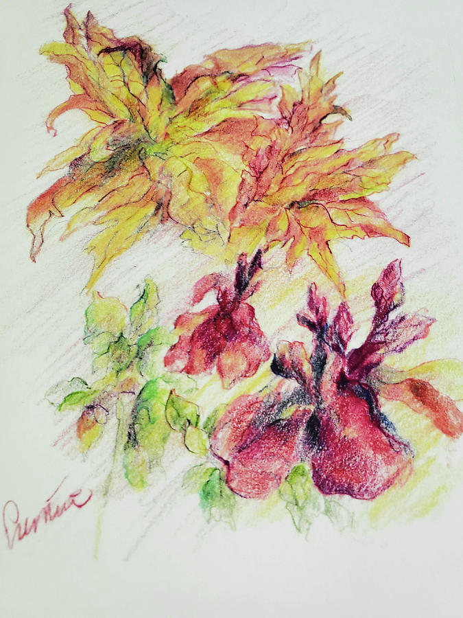 Fall Flowers and Leaves in Prisma Colored Pencils Drawing by Sulastri  Linville - Fine Art America
