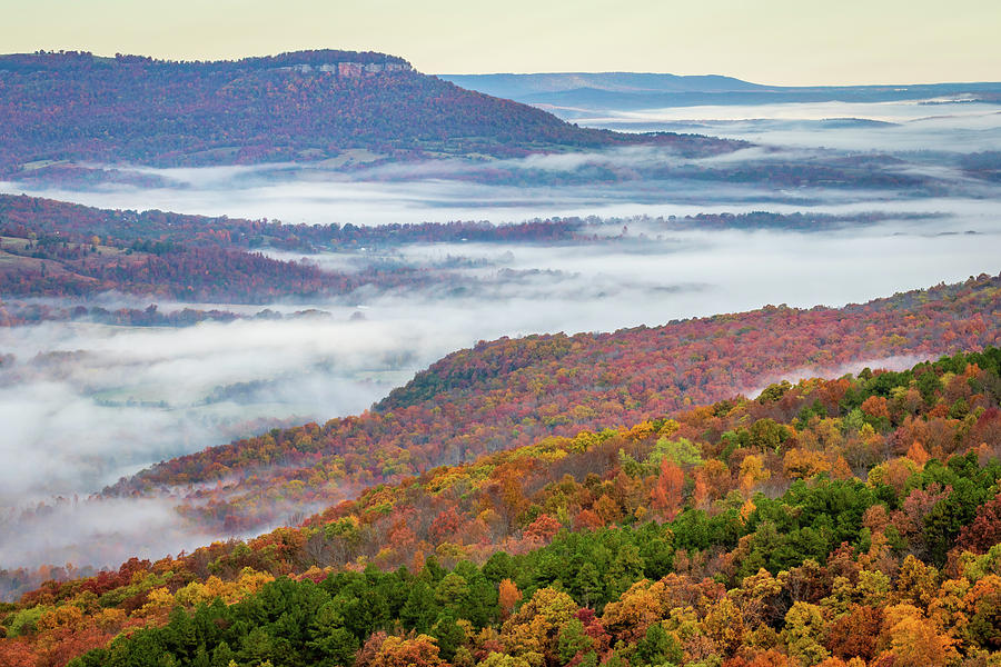 Fall fog Photograph by Jack Clutter
