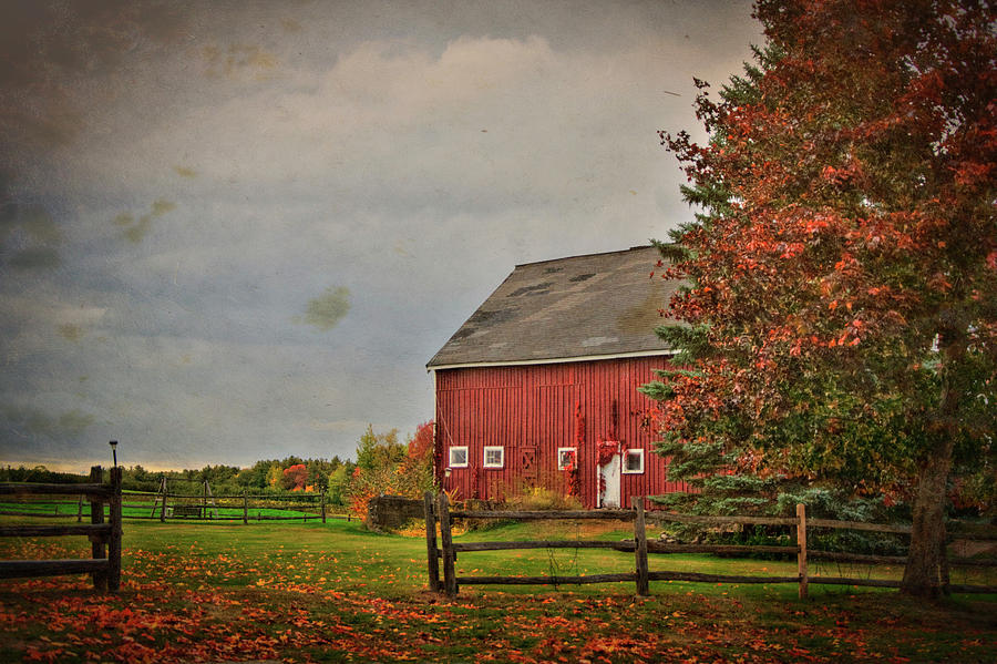 Fall Foliage and Red Barm Photograph by Joann Vitali