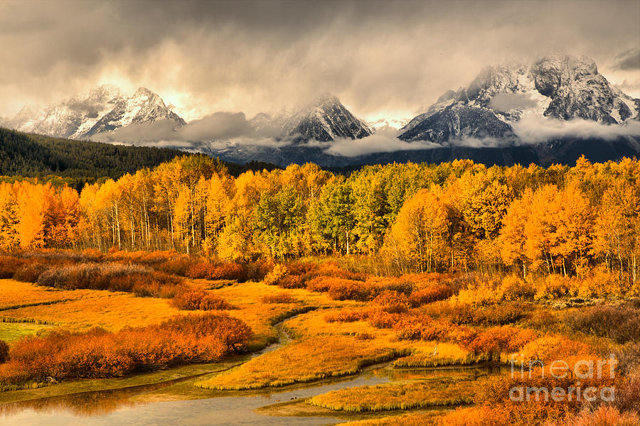 Fall Foliage And Snow Capped Tetons Photograph by Adam Jewell