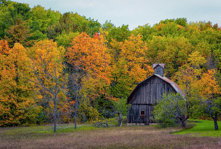 Fall Foliage At The Barn Photograph by Carol Ward | Fine Art America