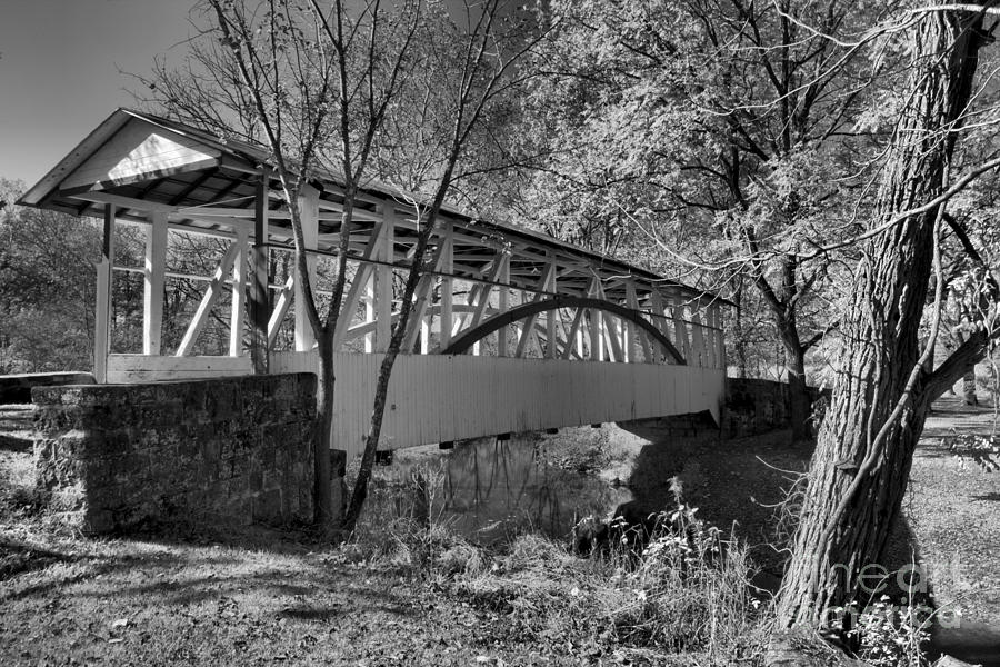 Fall Foliage At The Dr. Knisley Covered Bridge Black And White Photograph by Adam Jewell