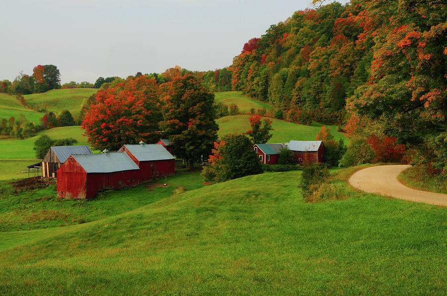 Fall Foliage at the Farm Photograph by Mike Martin