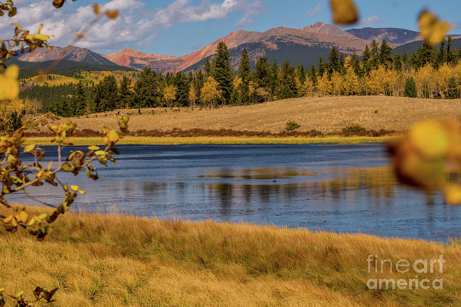 Fall foliage at the pass by Annerose Walz Fall foliage at the pass by Annerose Walz