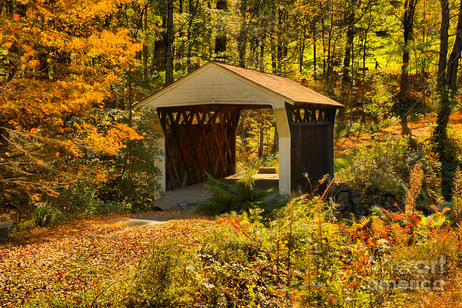 Fall Foliage At The Prentiss Covered Bridge Photograph by Adam Jewell