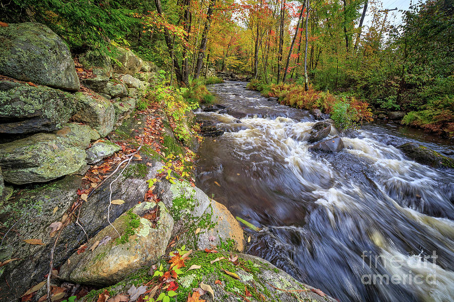 Fall Foliage Brook Grantham New Hampshire Photograph by Edward Fielding