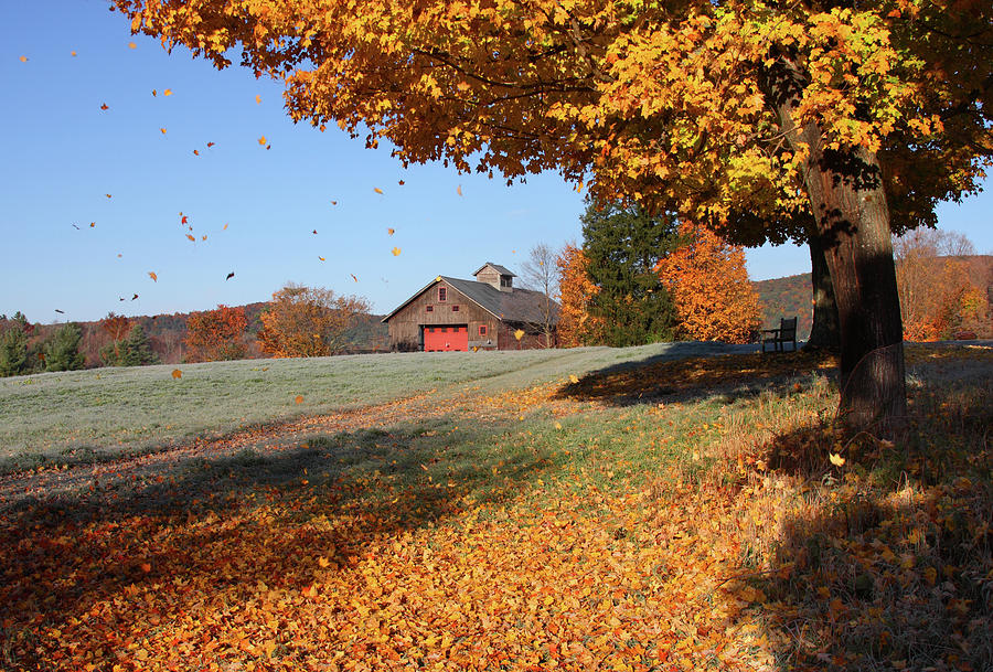 Fall Foliage In Connecticut By Denistangneyjr