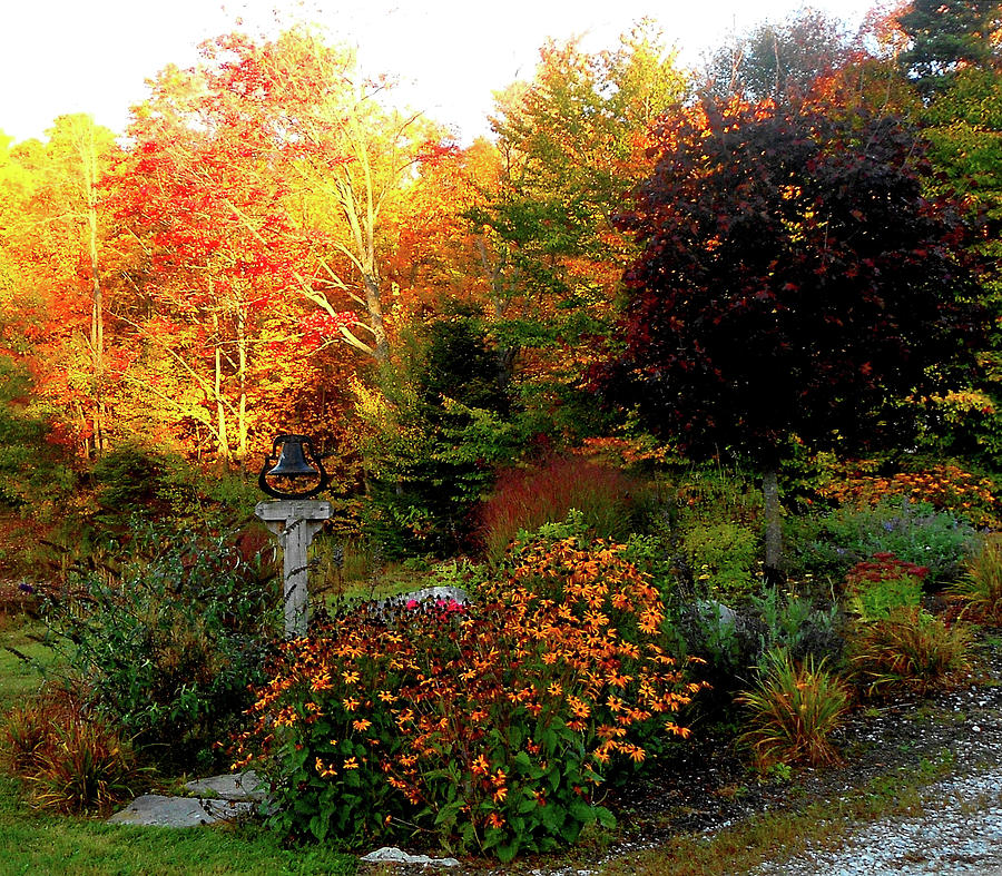 Fall Foliage in Vermont Photograph by Linda Stern