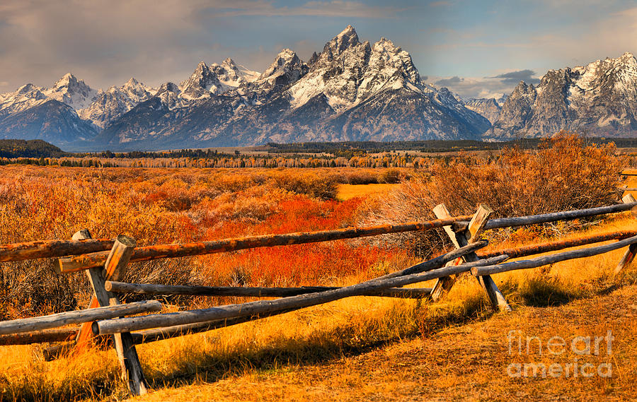 Fall Foliage Over The Fence Photograph by Adam Jewell