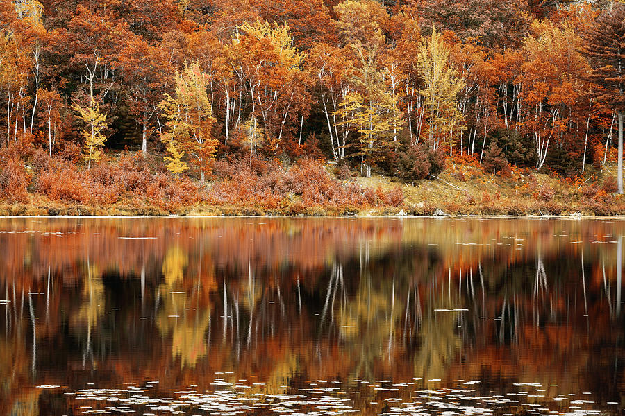 Fall foliage reflection in Jordan Pond, Maine Photograph by Mihai Andritoiu