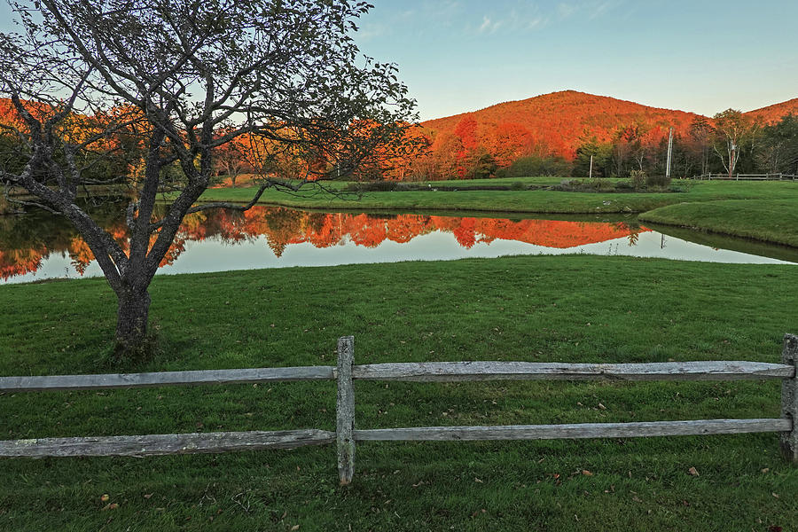 Fall Foliage Reflection Weston VT Tree Photograph by Toby McGuire