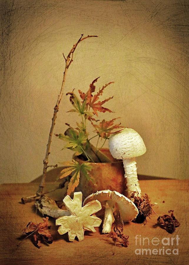 Fall Foraging Photograph