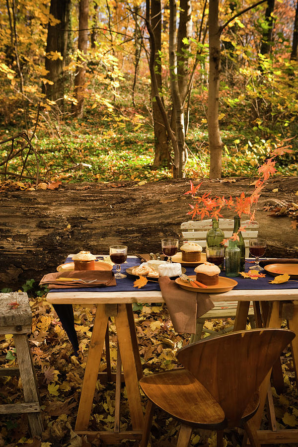 Fall Forest Table Photograph by Colin Cooke
