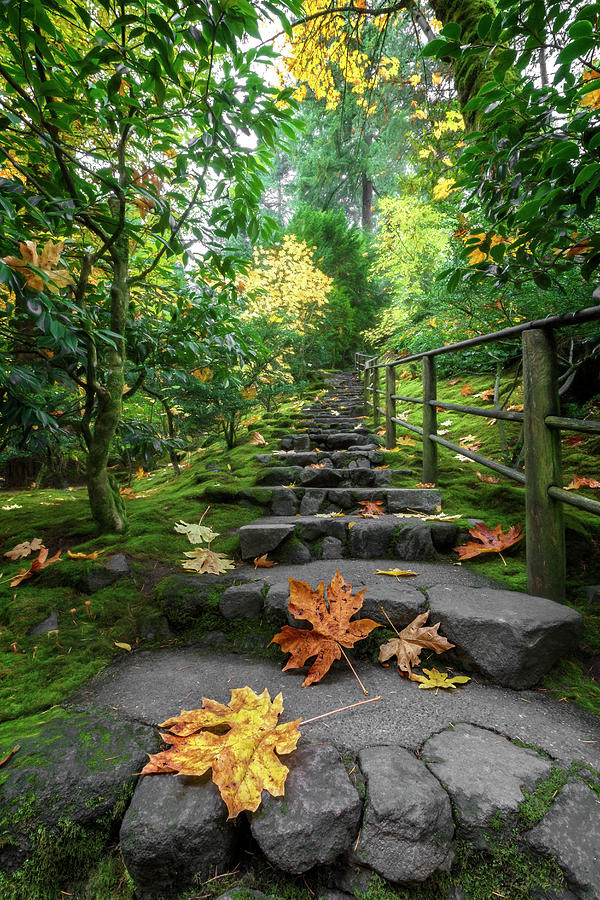 Fall Garden Stairway Photograph