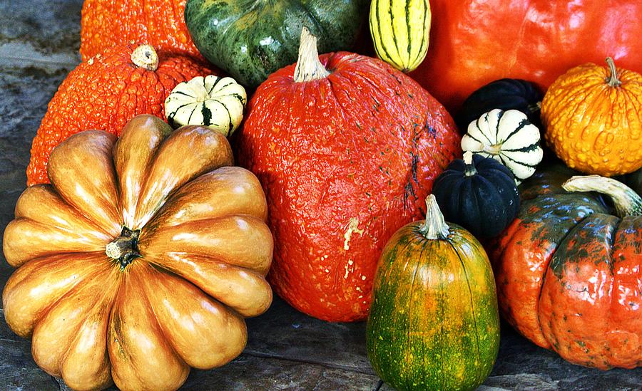 Fall Gourds Variety Photograph By Gaby Ethington - Fine Art America