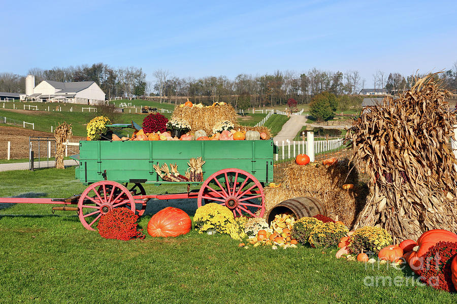 Fall Harvest Wagon 5270 Photograph by Jack Schultz