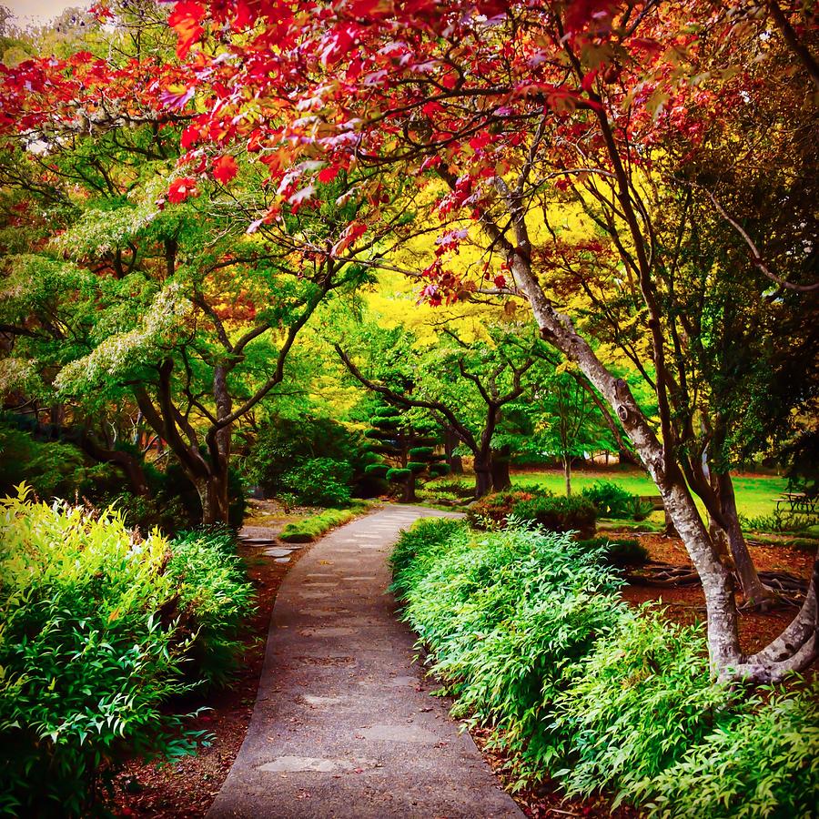 Fall in Ashland, Oregon Photograph by Holly Robbins - Fine Art America