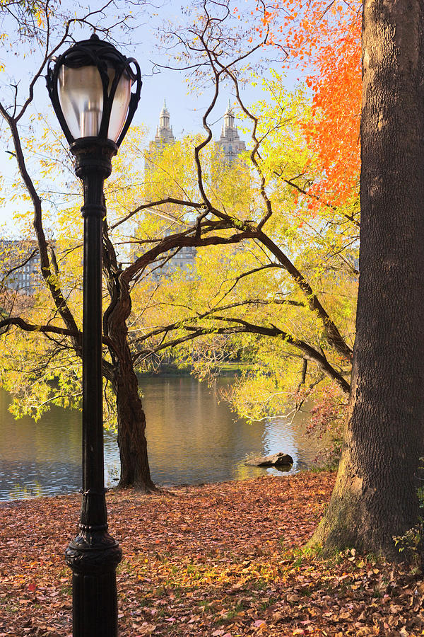 Fall In Central Park Photograph by Wdstock