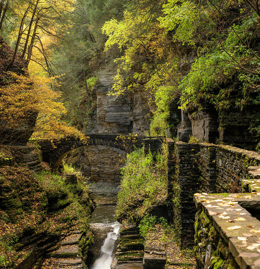 Fall in Ithaca Photograph by Arthur Oleary
