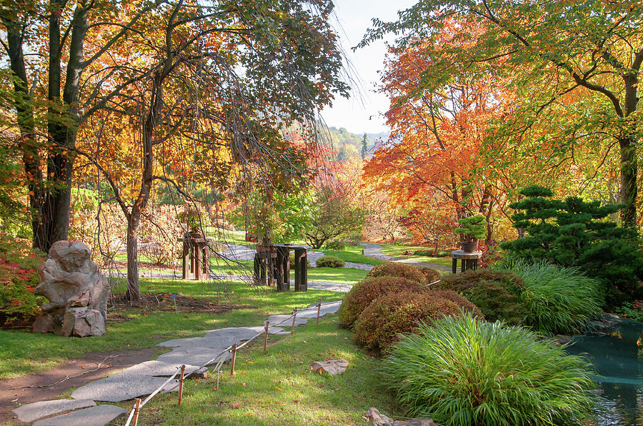 Fall in Japanese Garden 1 by Jenny Rainbow Fall in Japanese Garden 1 by Jenny Rainbow
