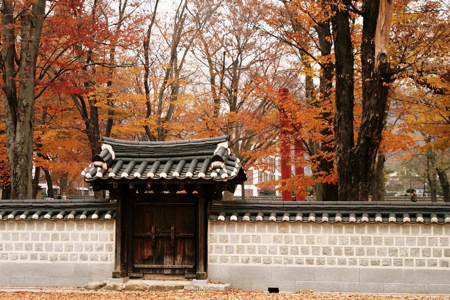 Fall In Jeonju Photograph by Stephanie Anglemyer Photography