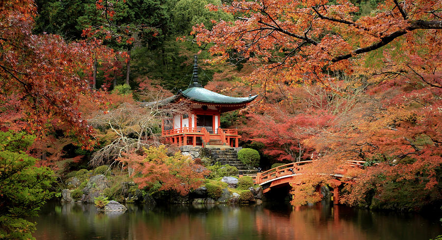 Fall Photograph - Fall In Love With Kyoto by Misaki Saito