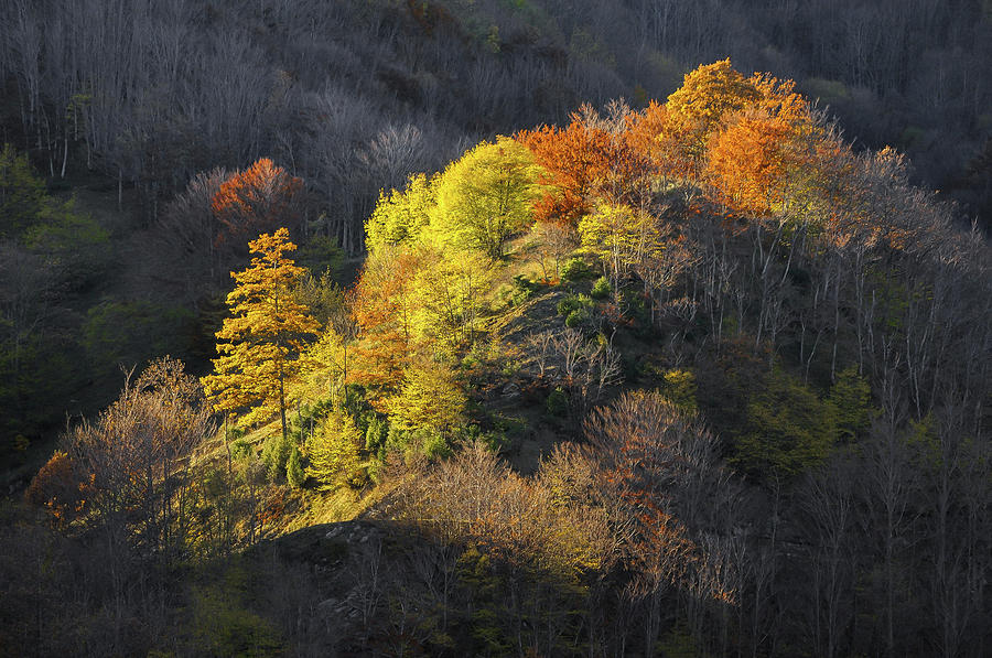 Fall in the Apennines #1 Photograph by Dimitris Sivyllis