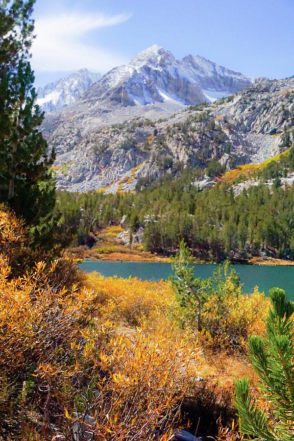 Fall in the Eastern Sierra Photograph by Richard A Brown