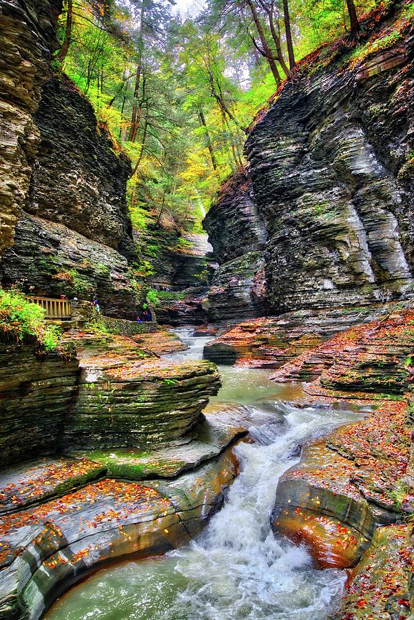 Fall in the Gorge at Watkins Glen State Park - Finger Lakes, New York Photograph by Lynn Bauer