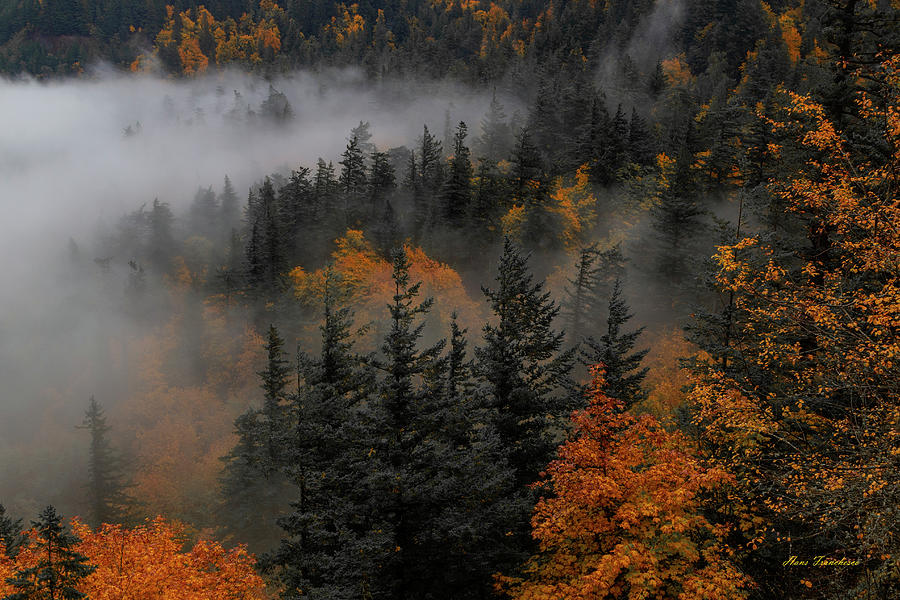 Fall in the Gorge by Hans Franchesco Fall in the Gorge by Hans Franchesco