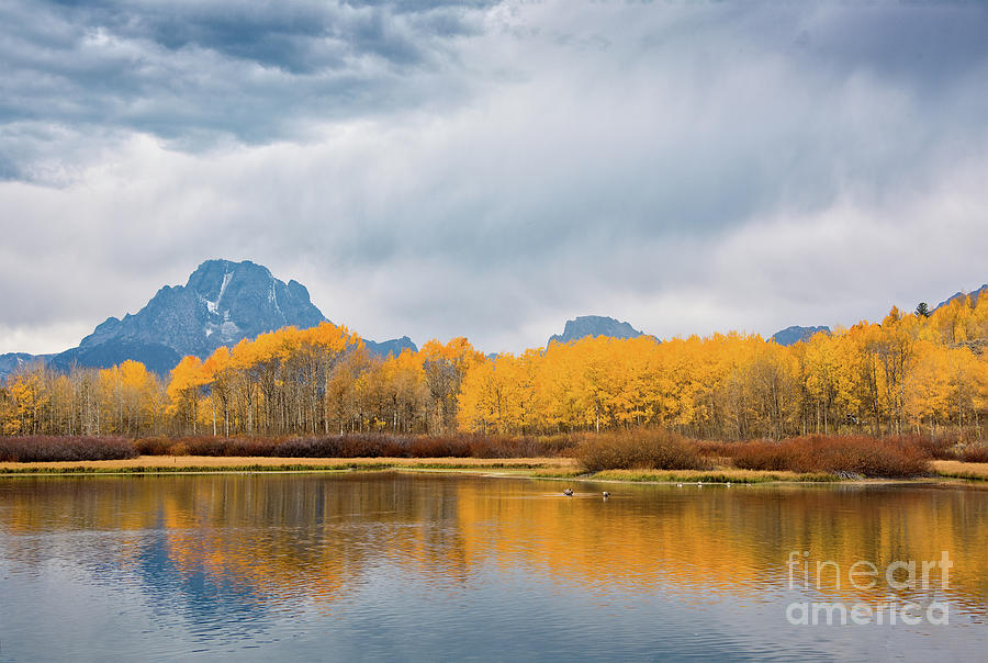 Fall in The Grand Tetons Photograph by Ed McDermott