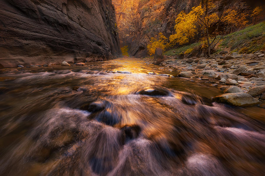Fall Photograph - Fall In The Narrows by Janice W. Chen