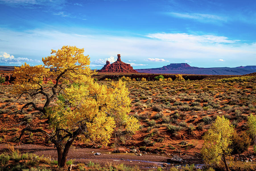 Fall in the Valley of the Gods Photograph by Paul LeSage