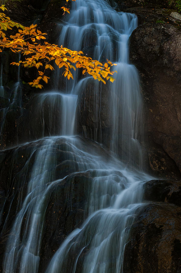Fall Photograph by Jay Zhu