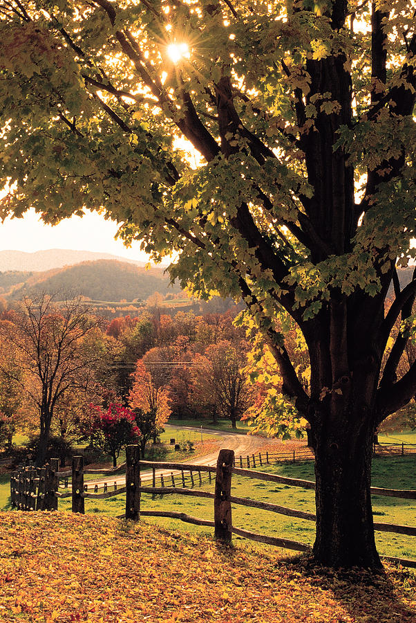 Fall Landscape , Woodstock , Vermont Photograph by Comstock