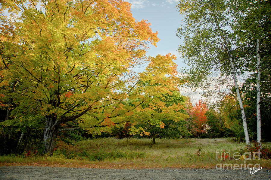 Fall Landscape Photograph by Alana Ranney
