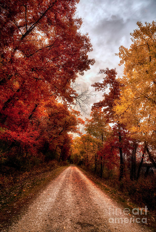Fall Lane Photograph by Bill Frische