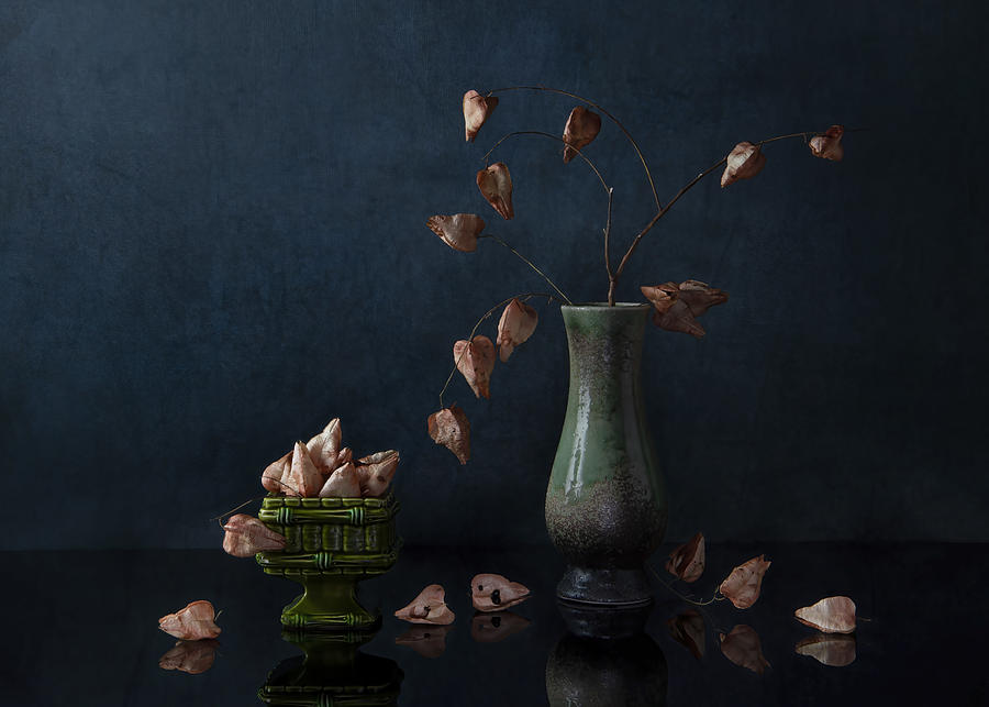 Still Life Photograph - Fall Lantern by Ming Chen