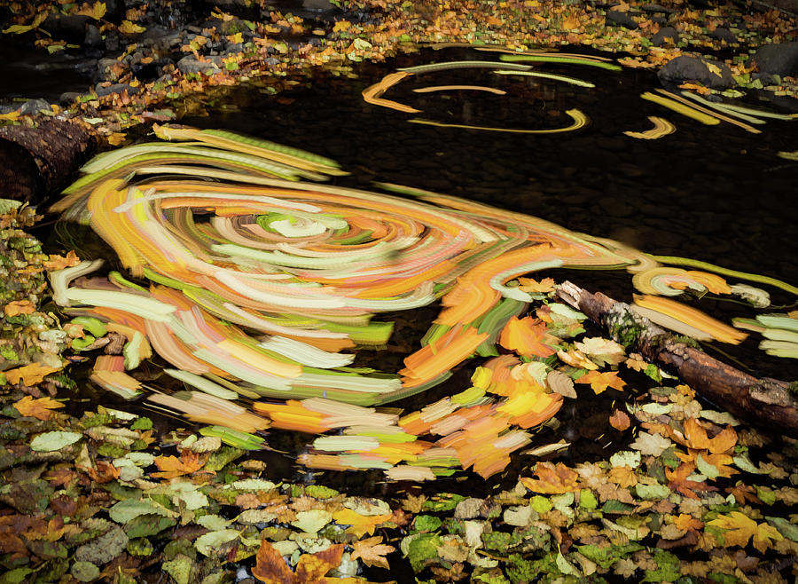 Fall Leaf Swirl Photograph by Jean Noren