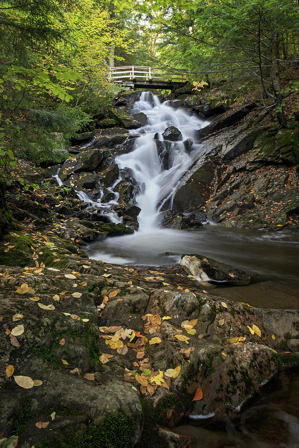 Fall Leaves and Dunlop Falls Photograph by Michael Russell