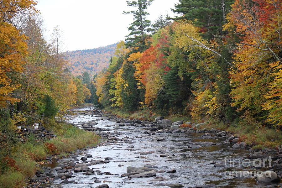 Fall Maine stream Photograph by Colleen Snow - Fine Art America