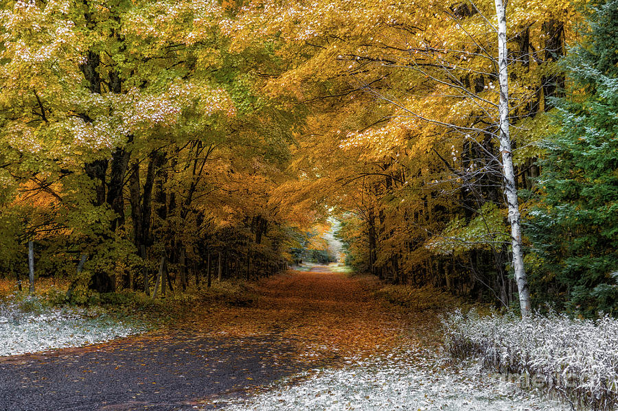Fall Meets Winter Photograph by Upper Peninsula Photography - Fine Art ...