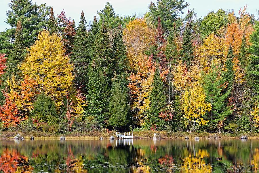 Fall Mooring Photograph by Keith Gonia - Fine Art America